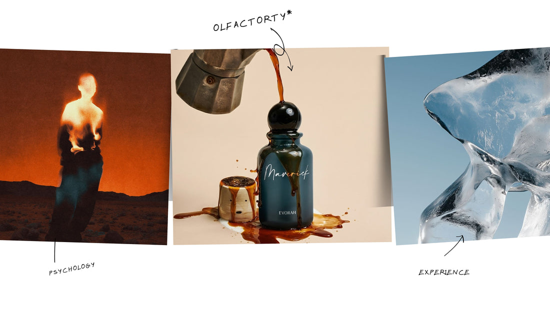 How Perfume Memory Works: Why Certain Scents Bring Back Old Memories