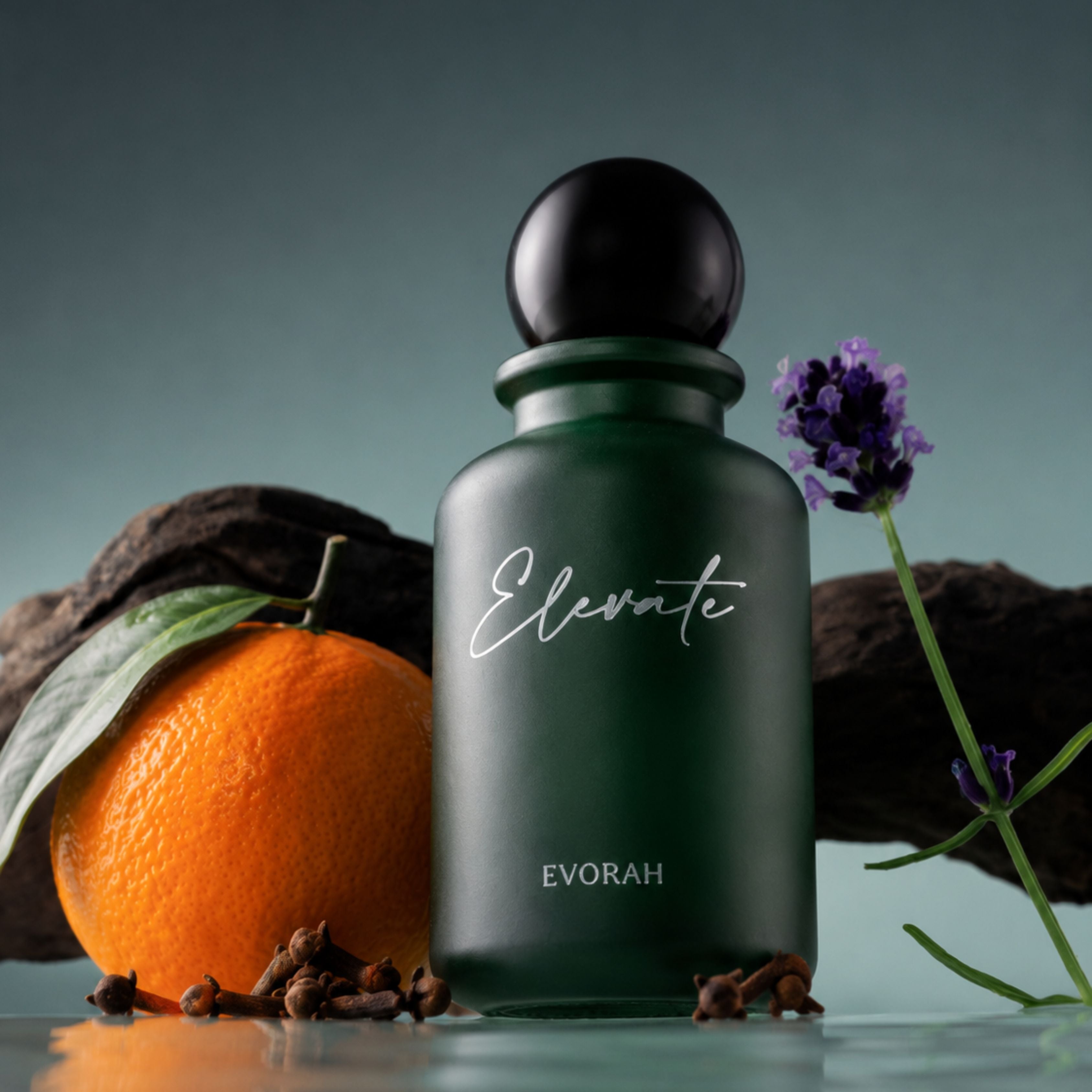 ELEVATE 100 ML